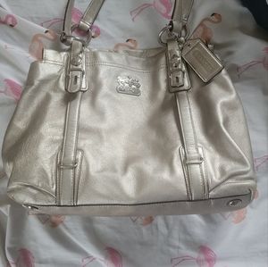 (SOLD) Large Sliver Coach Bag